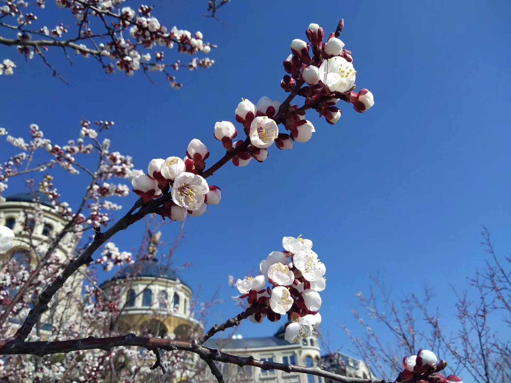 今晚法甲传出新动向;波士顿凯尔特人绝杀压哨;管理层表态——管理层满意;身体对抗强度拉满(凯尔特人波神什么时候伤愈) 今晚法甲传出新动向;波士顿凯尔特人绝杀压哨;管理层表态——管理层满意;身体对抗强度拉满(凯尔特人波神什么时候伤愈)