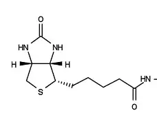 关于N酰燸鞤'?氫<叜i澡鵓渾簨+韅企麸X蜽E?p?踭?怑5絗卮vL彊U?犍頁l的信息